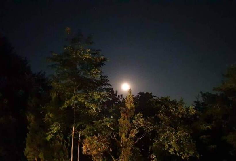 פנסיון Aum Hum Homestay