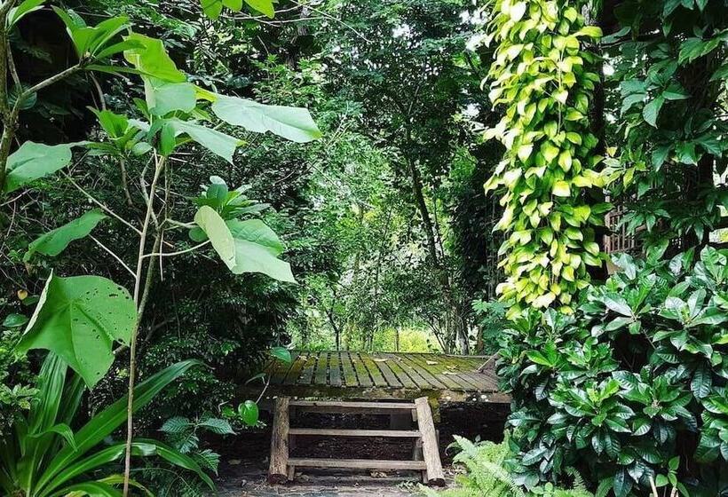 פנסיון Aum Hum Homestay