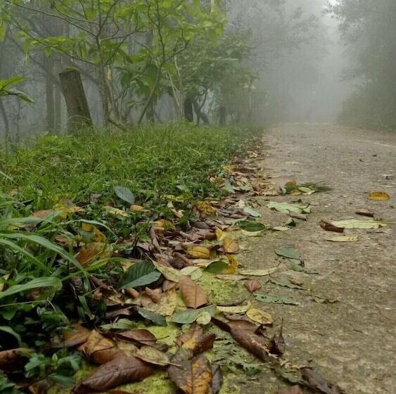 פנסיון Maekampong Kidteng