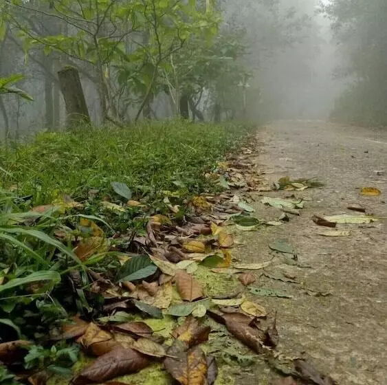 Majatalo Maekampong Kidteng