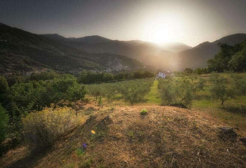 Sarl Aurore Vacances