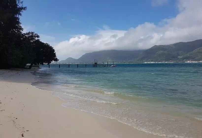 Fairytern Chalets