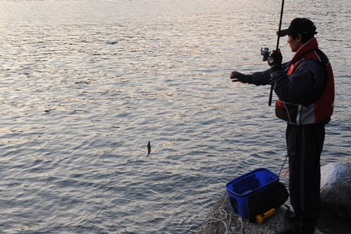 Geoje Sumireu Pension