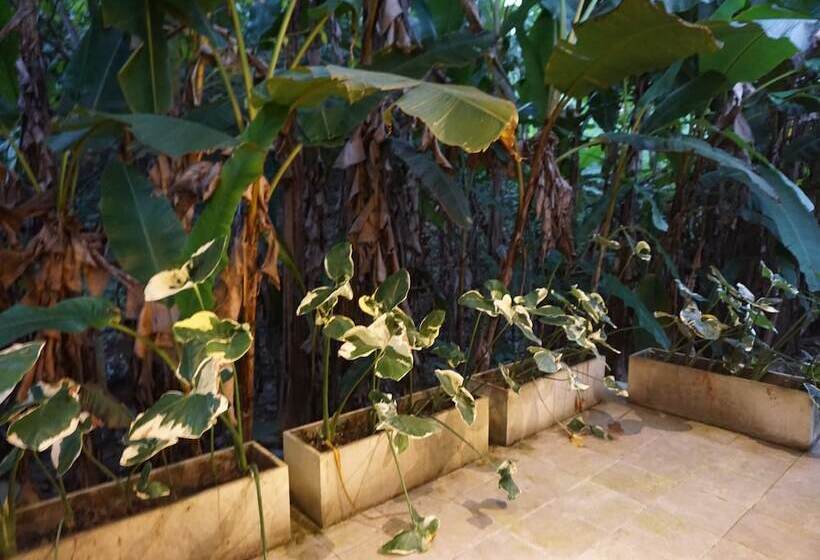 Hotel Villa De View Chiang Dao