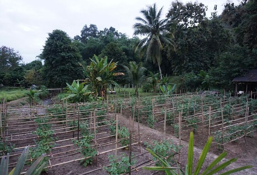 Hotel Villa De View Chiang Dao