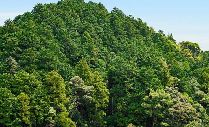 ريوكان Auberge Yusura