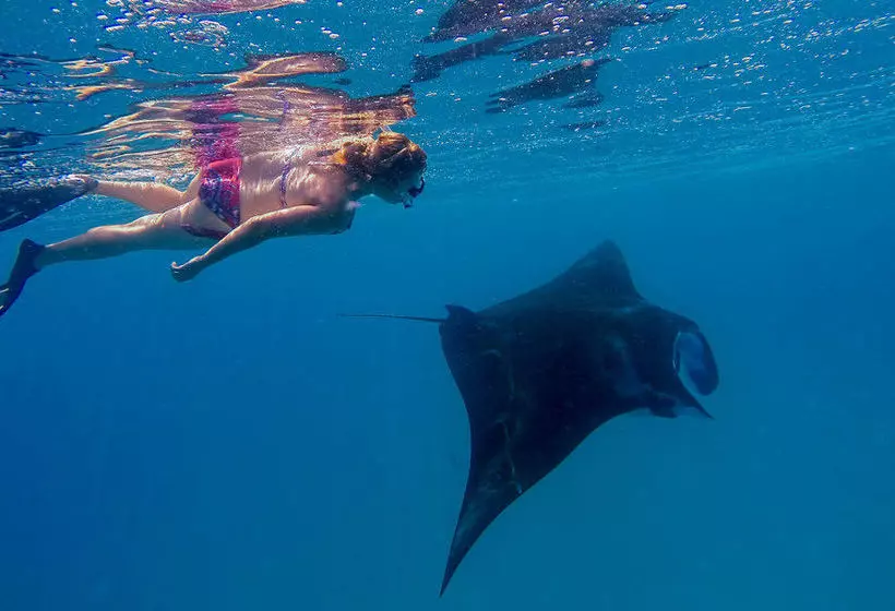 هتل Aveyla Manta Village