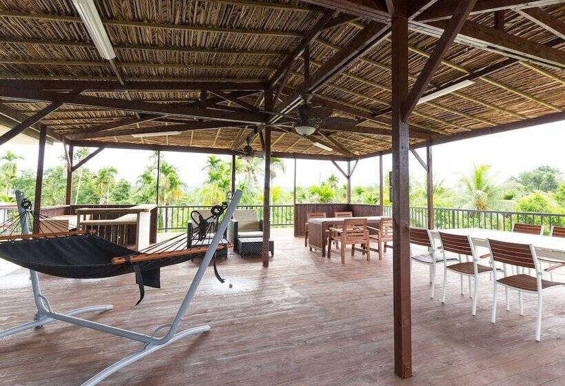 هتل Garden Palace Downtown Koror