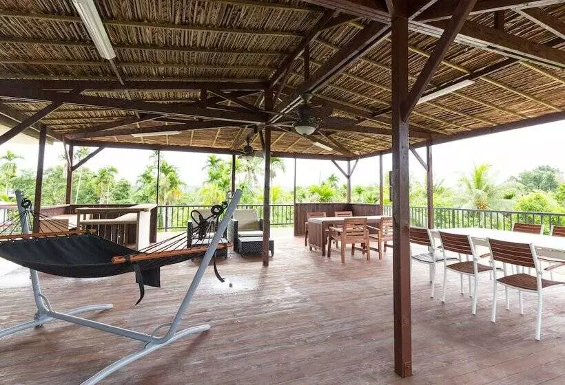 هتل Garden Palace Downtown Koror