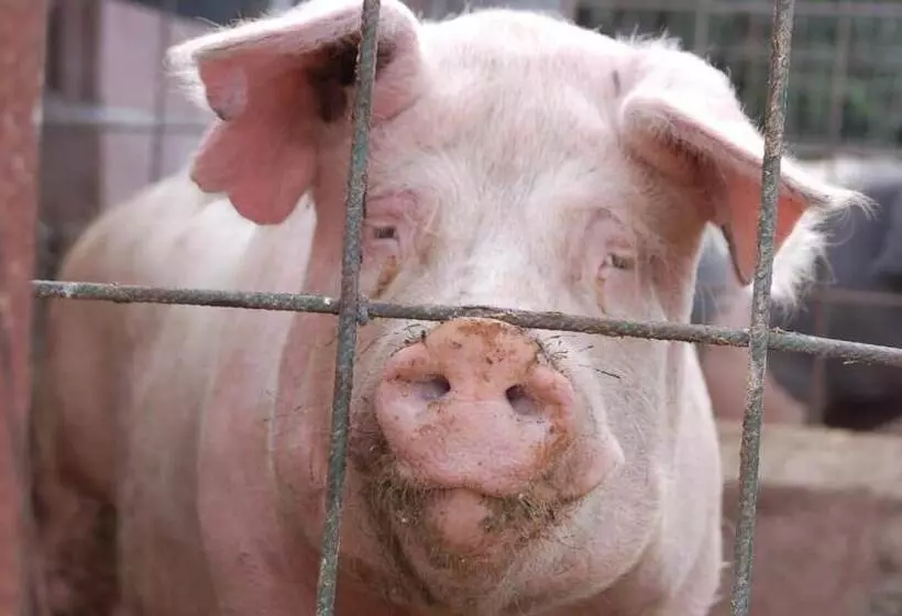 Hotelli Il Giogo Agriturismo