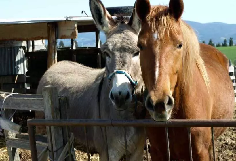 Hotelli Il Giogo Agriturismo