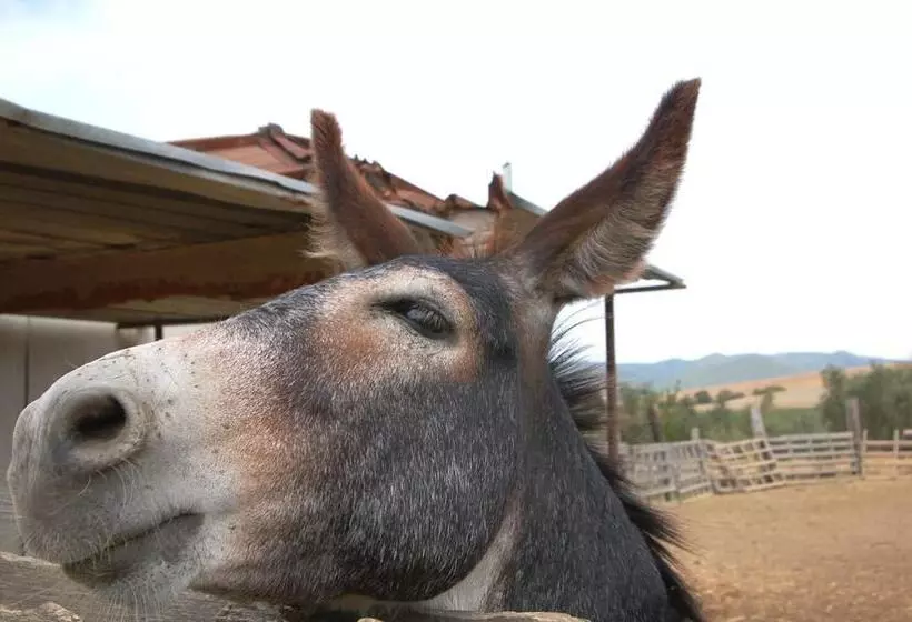 Hotelli Il Giogo Agriturismo