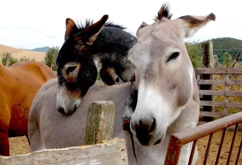 Hotelli Il Giogo Agriturismo