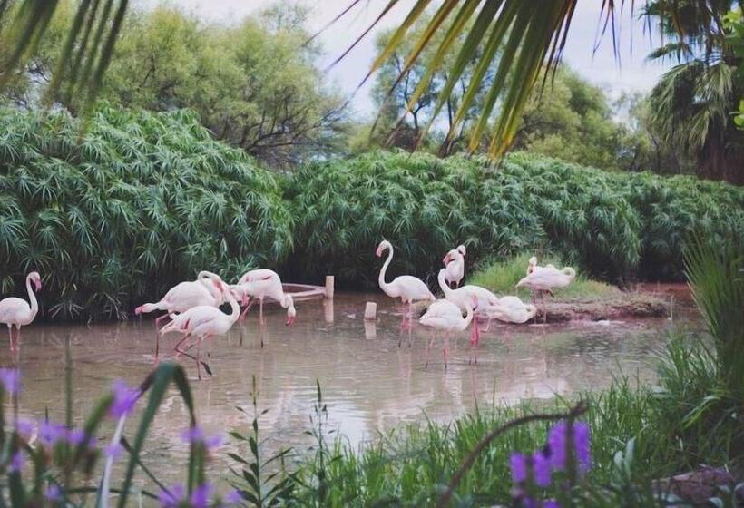 هتل Mount Etjo Safari Lodge