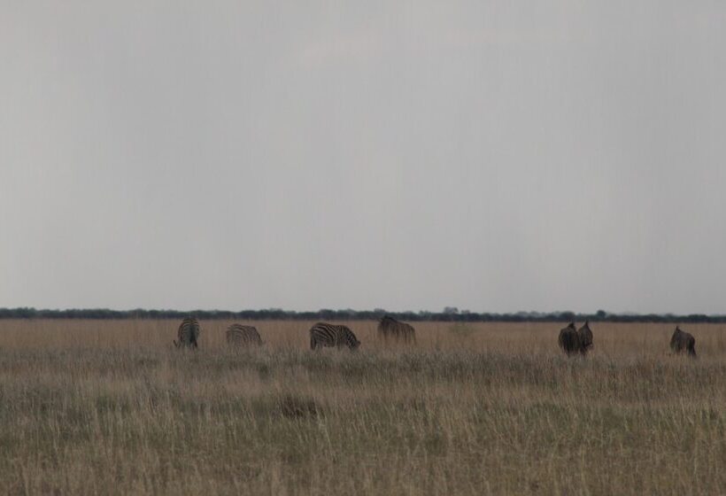 هتل Pelican Lodge And Camping