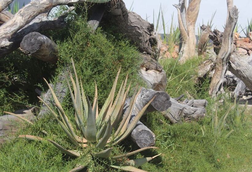 هتل Pelican Lodge And Camping