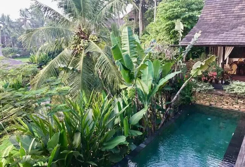 ホテル Surya Kembar Villas