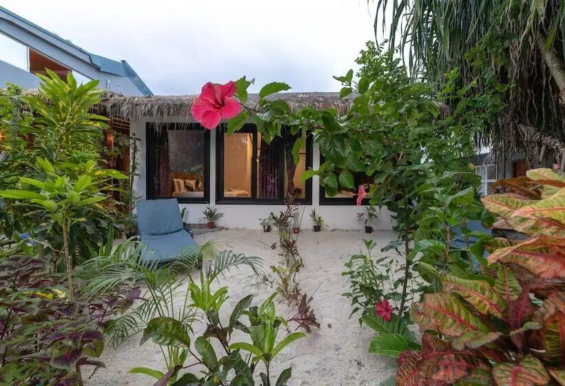 پانسیون Beach Veli