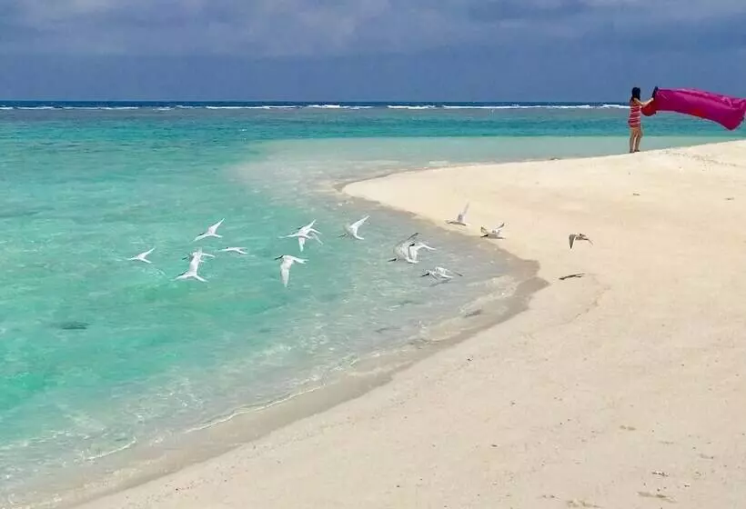 پانسیون Beach Veli