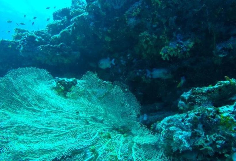 پانسیون Manta Inn