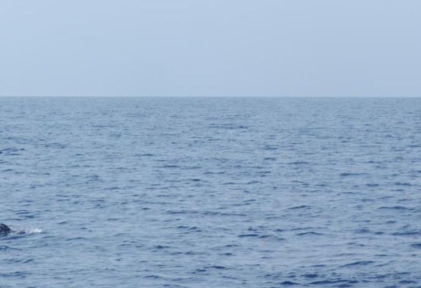 پانسیون Manta Inn