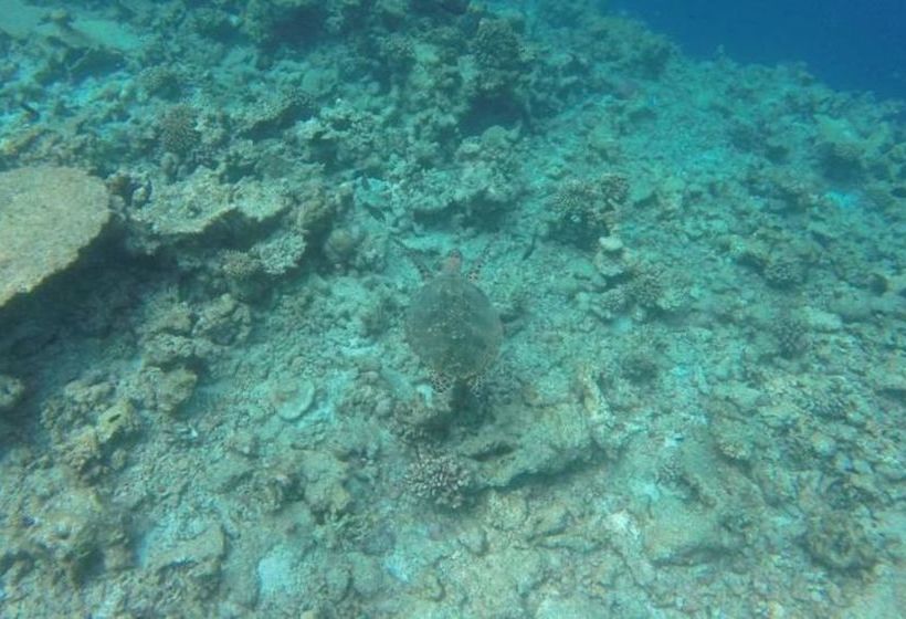 پانسیون Manta Inn