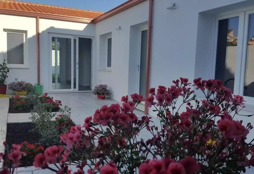 ベッドアンドブレックファースト B. Sinis