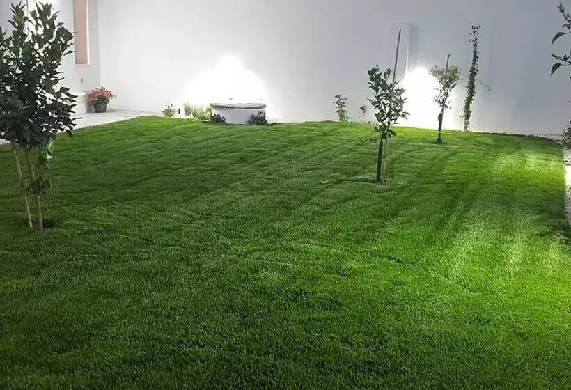 ベッドアンドブレックファースト B. Sinis