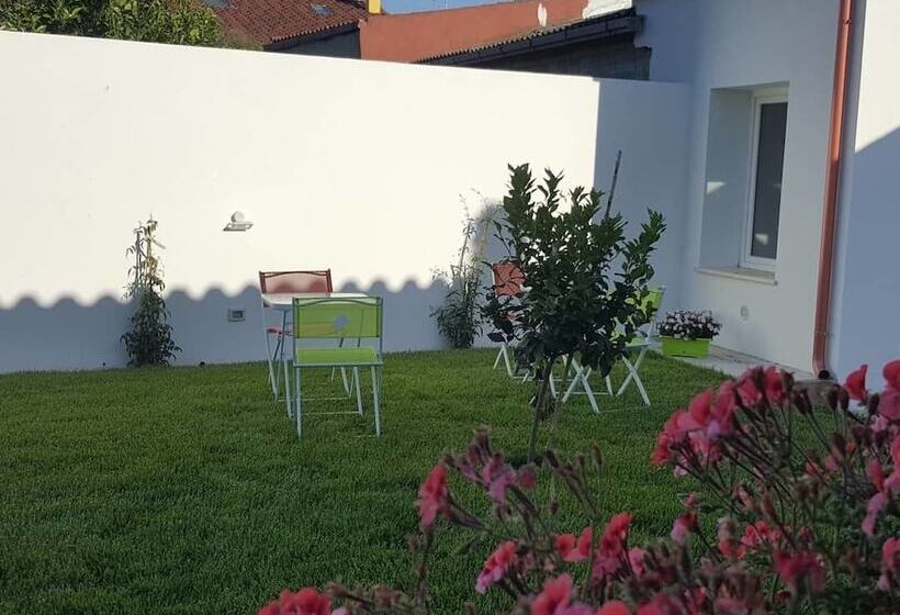 ベッドアンドブレックファースト B. Sinis