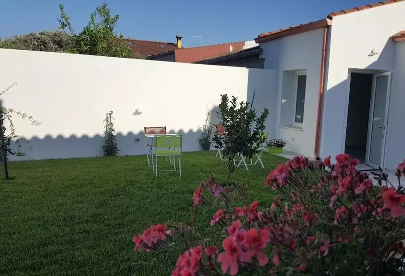 ベッドアンドブレックファースト B. Sinis