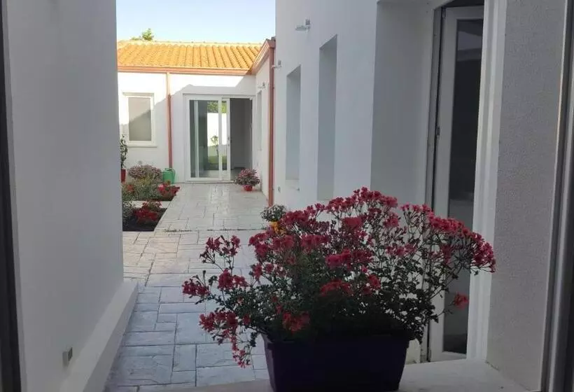 ベッドアンドブレックファースト B. Sinis