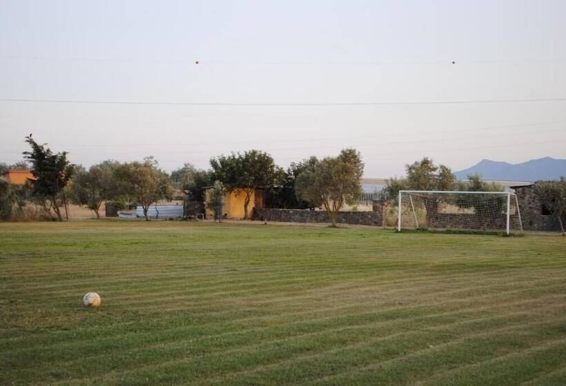 فندق Riu Sa Murta