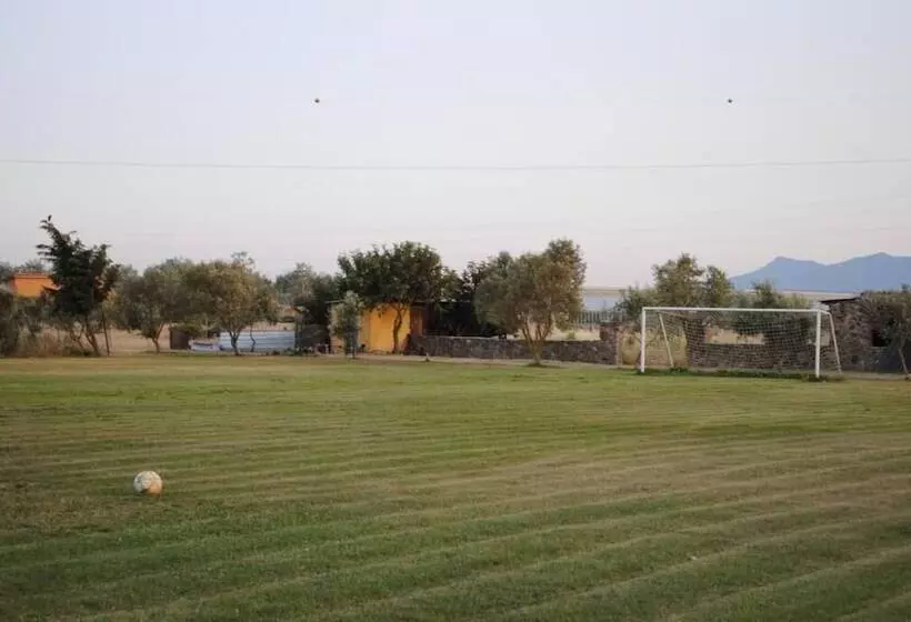 ホテル Riu Sa Murta