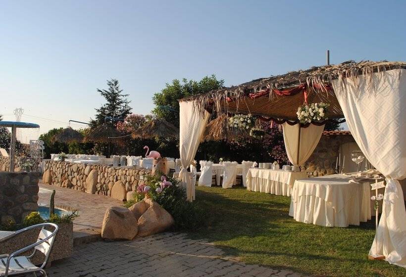 فندق Riu Sa Murta