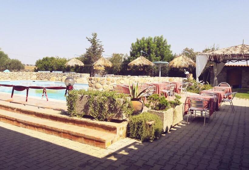 فندق Riu Sa Murta