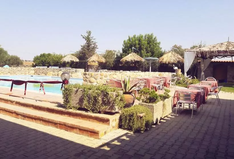 ホテル Riu Sa Murta