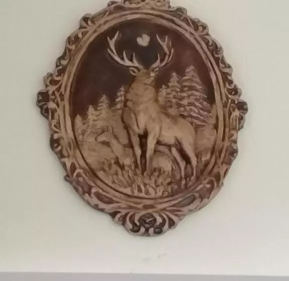 تختخواب و صبحانه Elmira