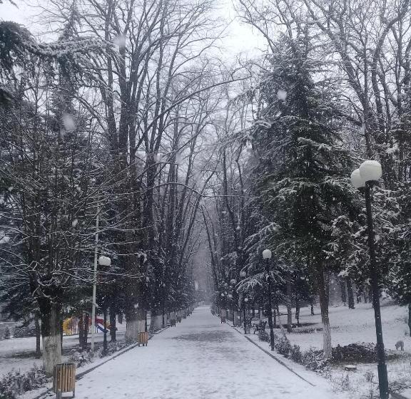 تختخواب و صبحانه Elmira