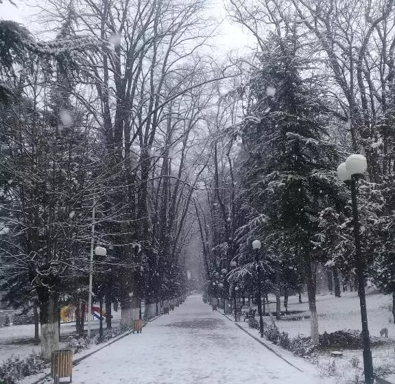 تختخواب و صبحانه Elmira