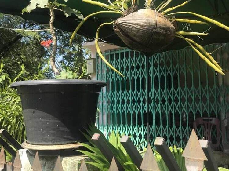 تختخواب و صبحانه Warm Home