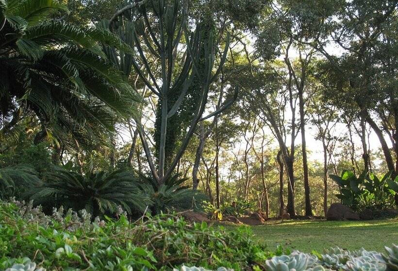 هتل Bushman Rock Safaris