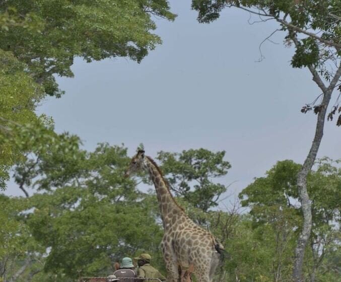 هتل Bushman Rock Safaris