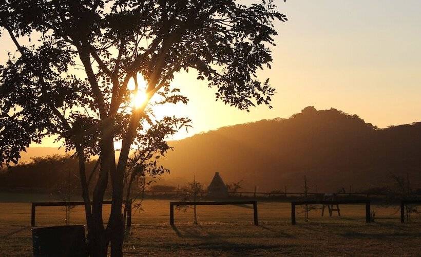 هتل Bushman Rock Safaris