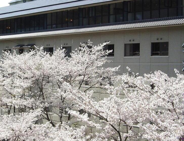 Hotel 猿投温泉金泉閣