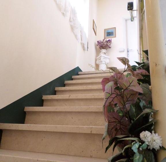 Bed and Breakfast Le Midi Versilia