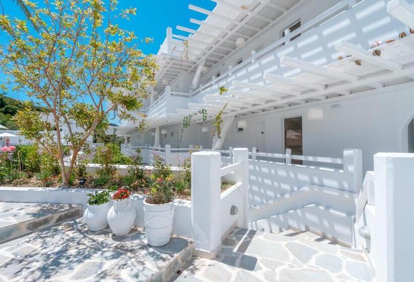 Aloe Hotel   Adults Only