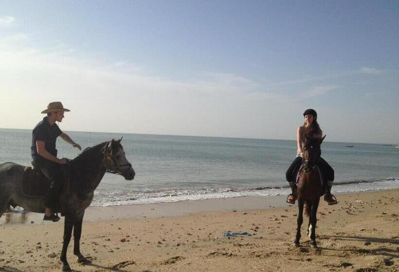 هتل Maison Couleur Passion