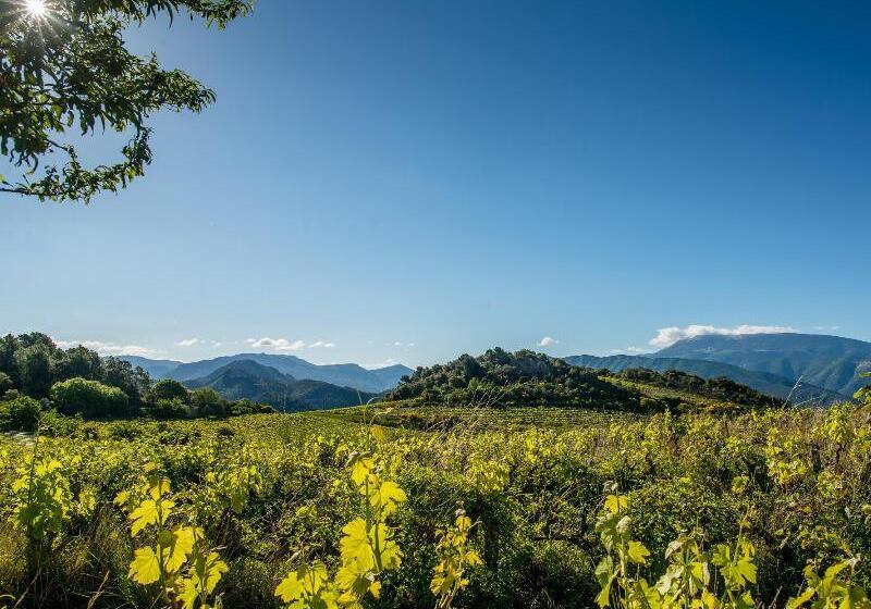 호텔 Logis Hôtel Restaurant Le Plantevin