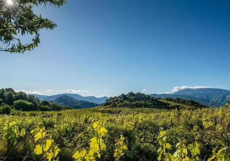 Hotelli Logis Hôtel Restaurant Le Plantevin