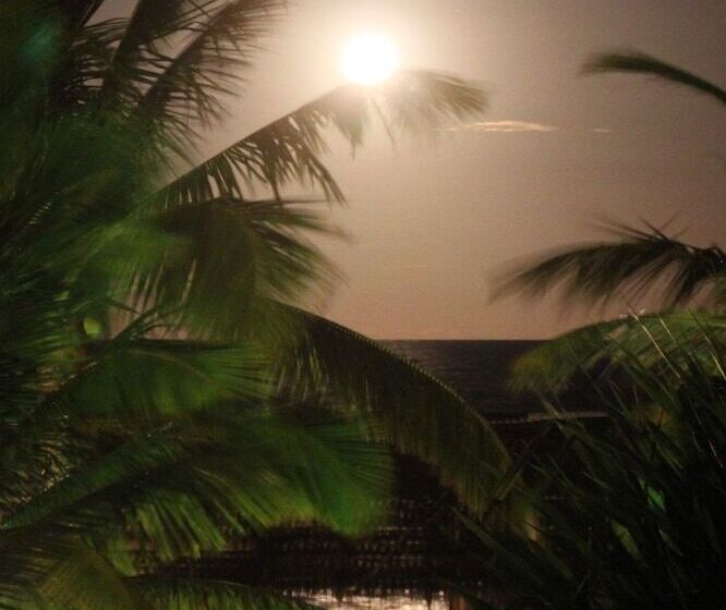 Ouro Sobre Azul Apart